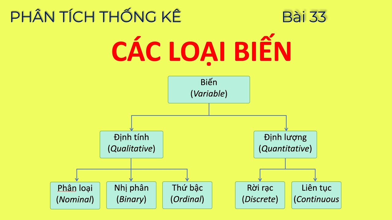 Phân loại và phân tích