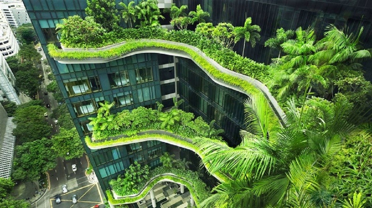 Cơ hội đầu tư và tương lai